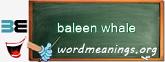 WordMeaning blackboard for baleen whale
